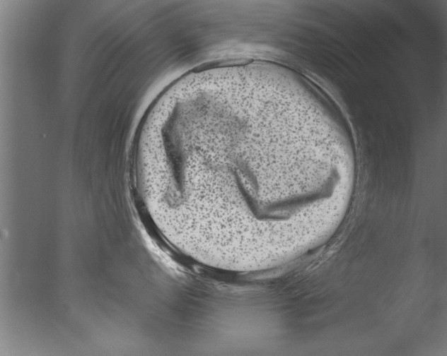 X0000076101152200610202129