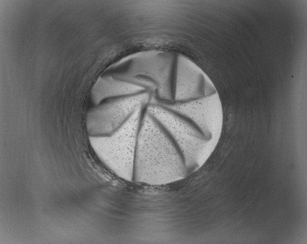 X0000076101153200610202128