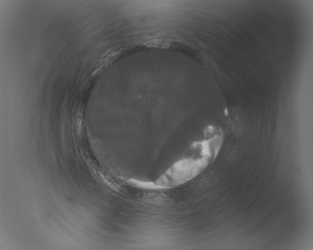 X0000076101154200610202128