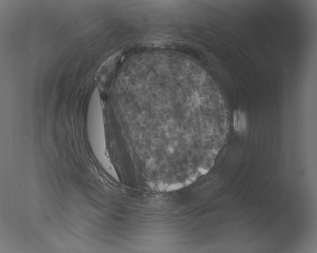 X0000076101155200610202128