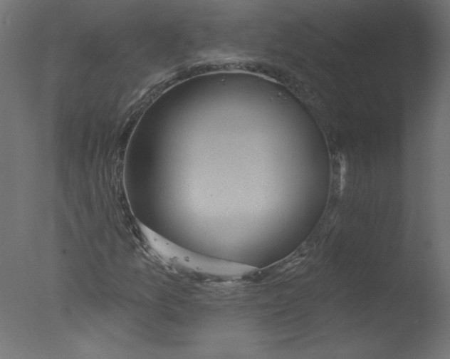 X0000076101157200610202128