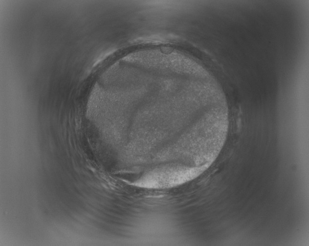 X0000076101158200610202128