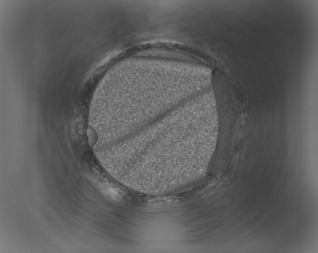 X0000076101159200610202128