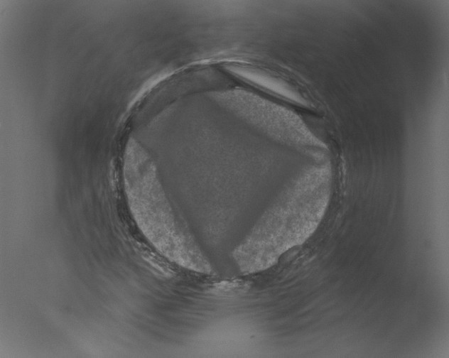 X0000076101160200610202128