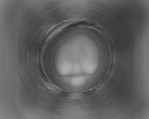 X0000076101161200610202128