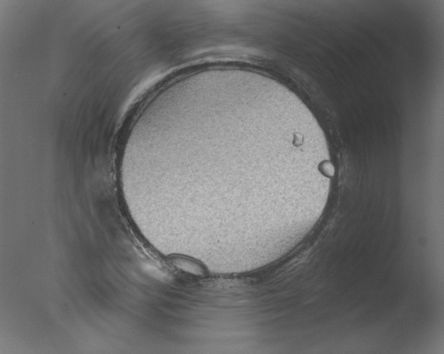 X0000076101164200610202128