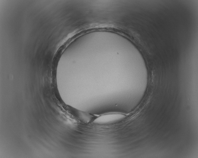 X0000076101165200610202128