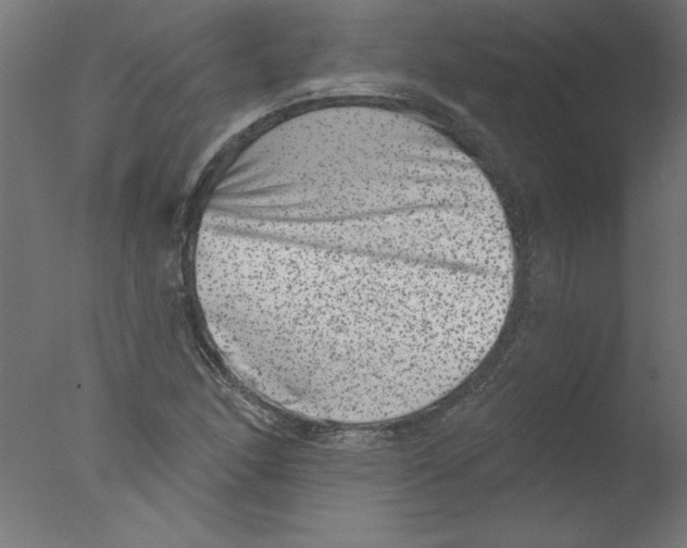 X0000076101166200610202128