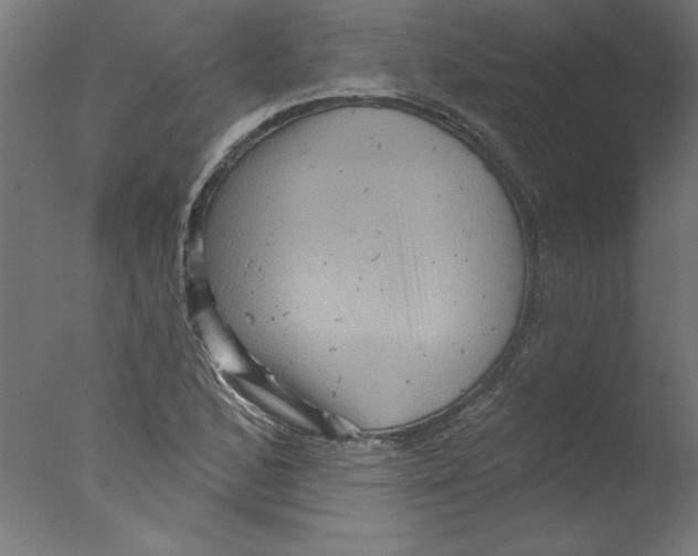 X0000076101168200610202128