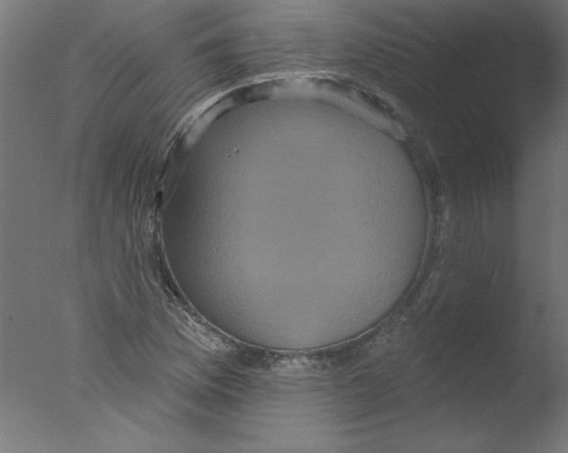 X0000076101169200610202128