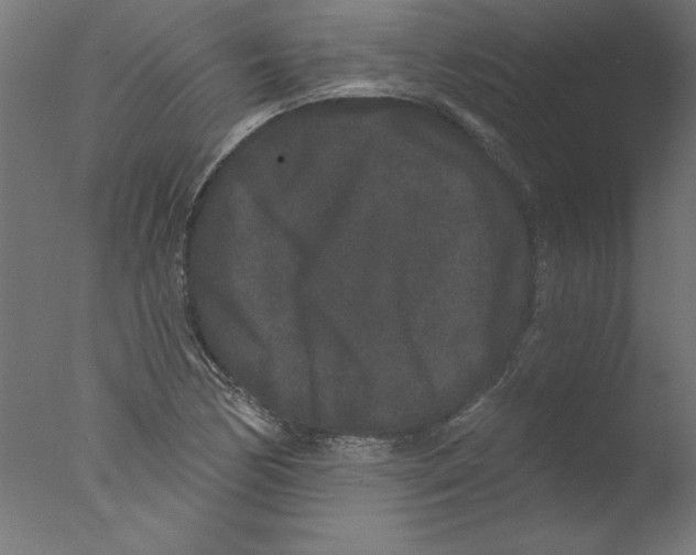 X0000076101170200610202128