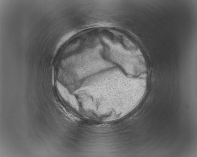 X0000076101171200610202128