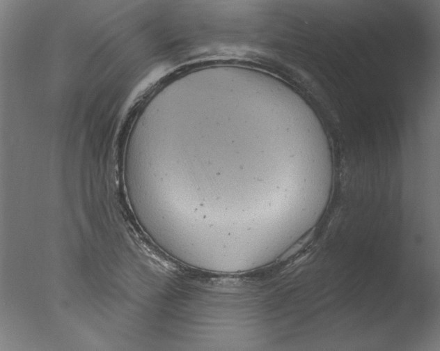 X0000076101172200610202128