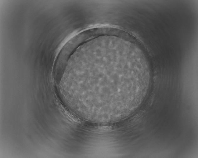 X0000076101173200610202128