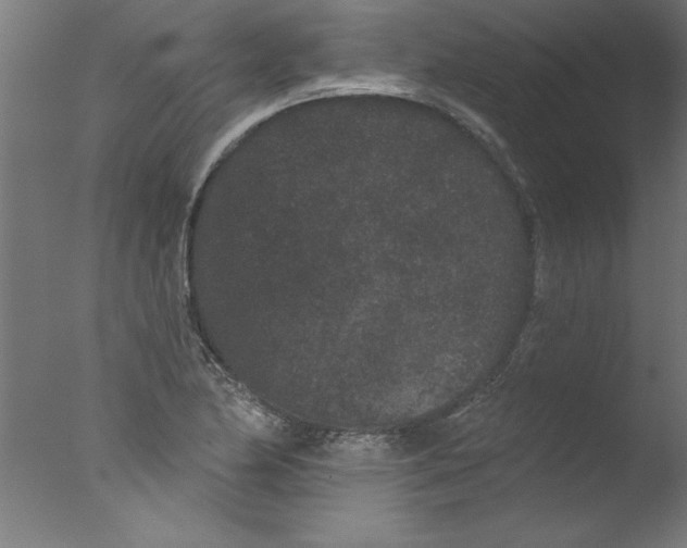 X0000076101174200610202128