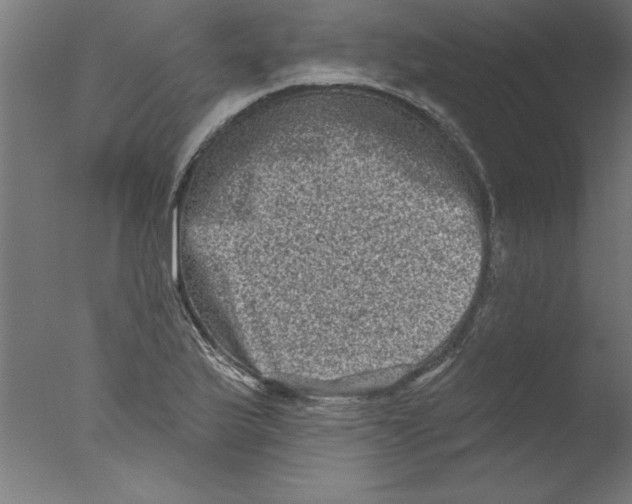 X0000076101175200610202128