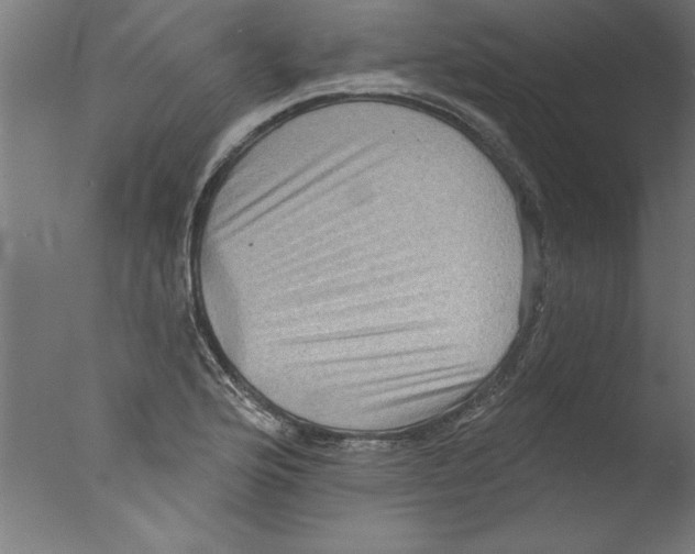 X0000076101176200610202128