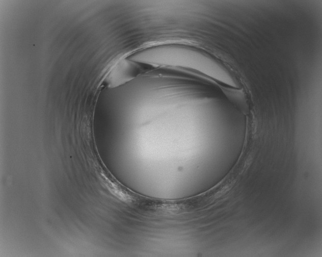 X0000076101177200610202128