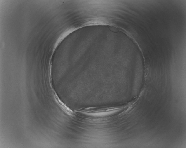 X0000076101179200610202128