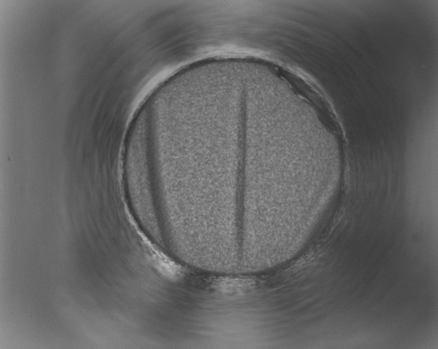 X0000076101183200610202128