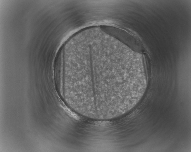 X0000076101184200610202128