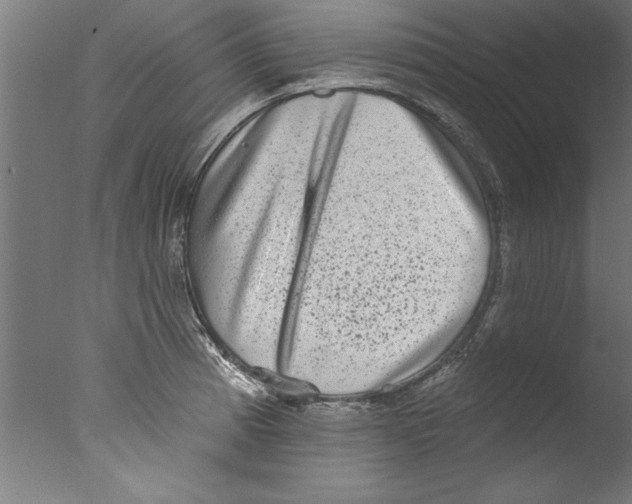 X0000076101185200610202128