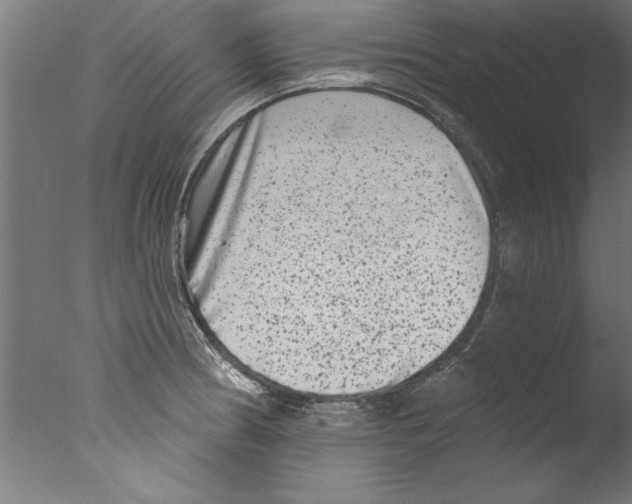 X0000076101186200610202128