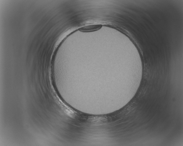 X0000076101187200610202128