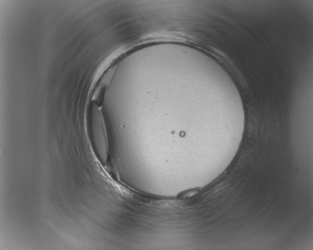 X0000076101188200610202128