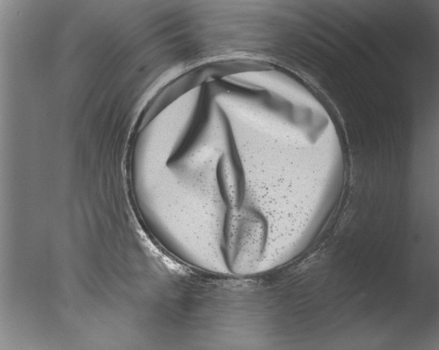 X0000076101189200610202128