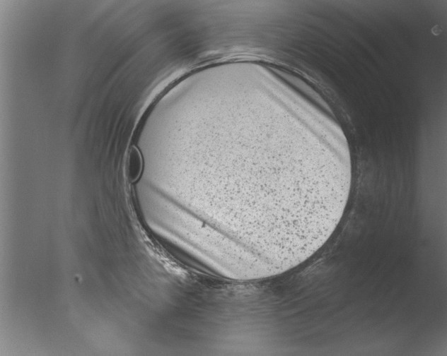 X0000076101190200610202128