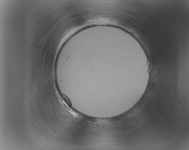 X0000076101191200610202128