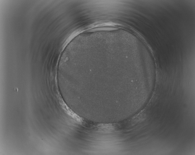 X0000076101194200610202127