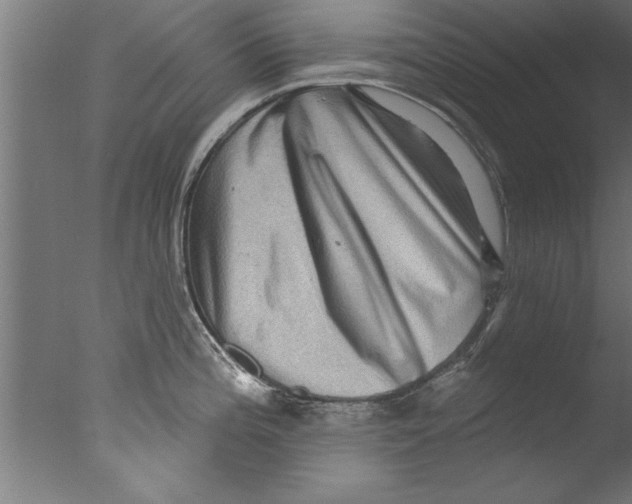 X0000076101196200610202127