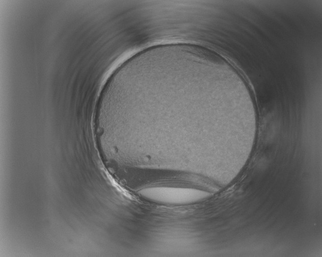 X0000076101197200610202127