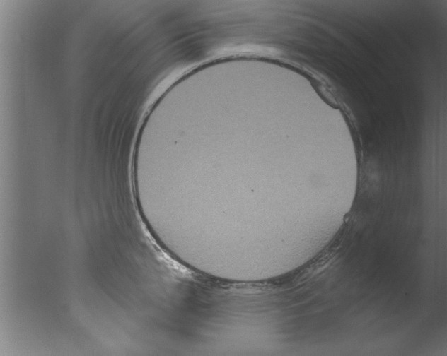 X0000076101199200610202127