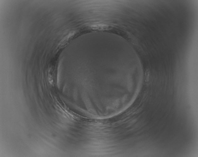 X0000076101202200610202127