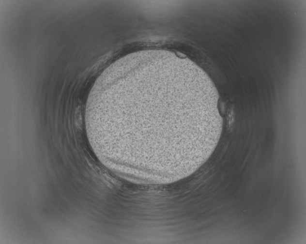 X0000076101204200610202127