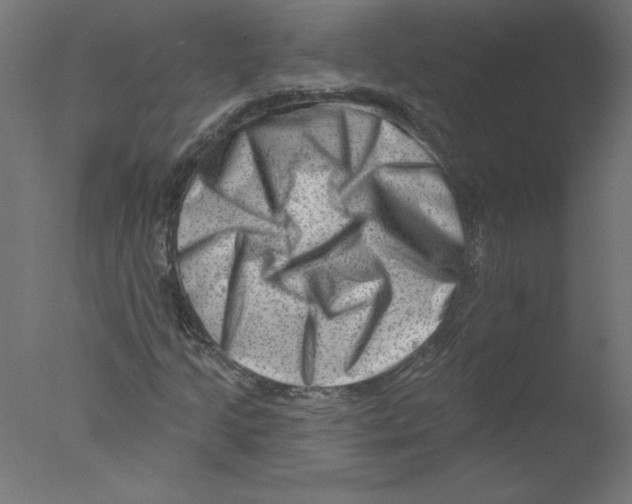 X0000076101205200610202127