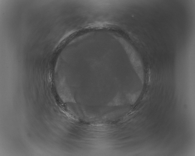 X0000076101206200610202127