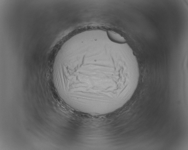 X0000076101207200610202127