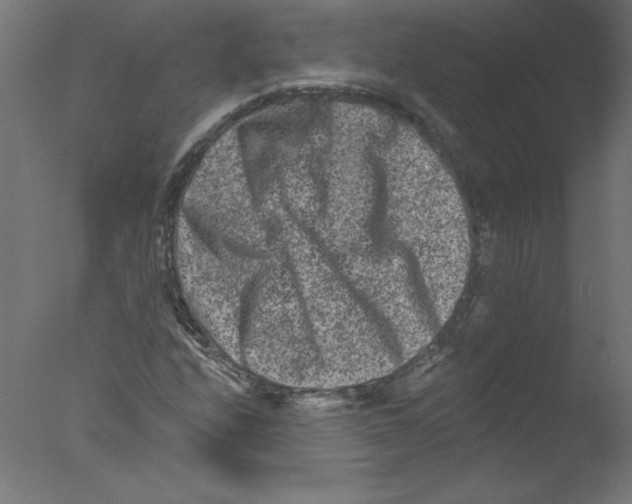 X0000076101208200610202127