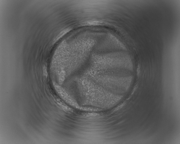 X0000076101209200610202127