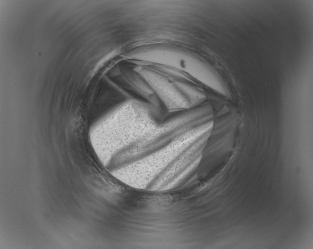 X0000076101210200610202127