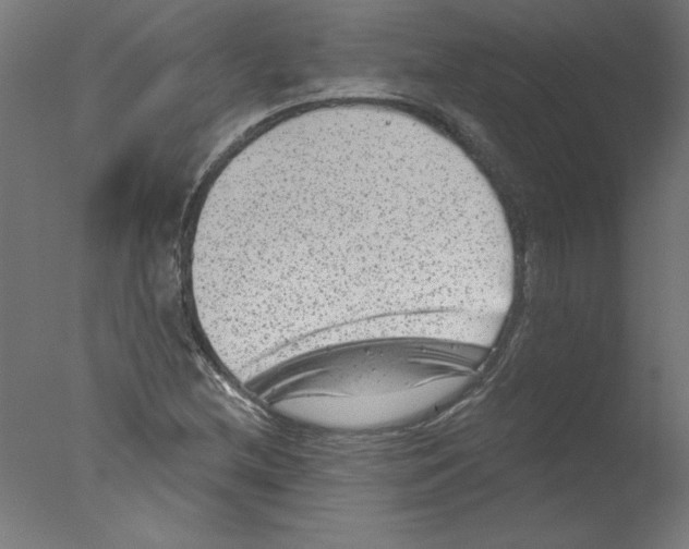 X0000076101212200610202127