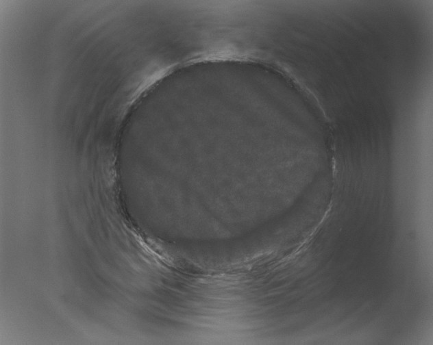 X0000076101213200610202127