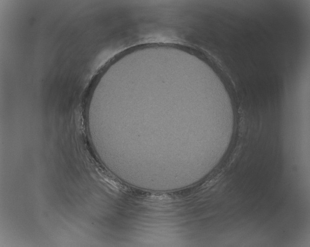 X0000076101215200610202127