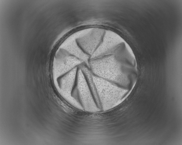 X0000076101216200610202127