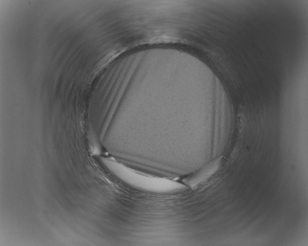 X0000076101217200610202127