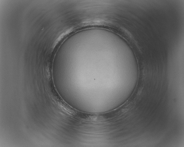 X0000076101218200610202127